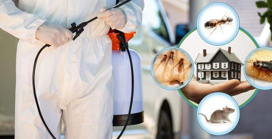 Lapseki Böcek İlaçlama