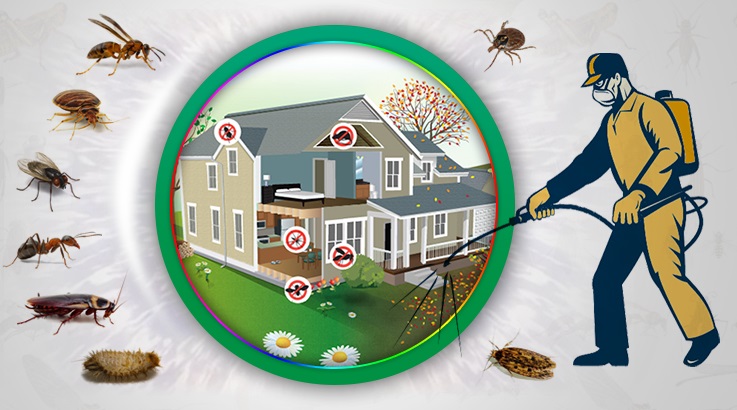 Lapseki Böcek İlaçlama