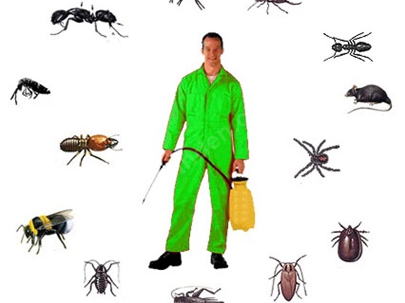 Lapseki Böcek İlaçlama