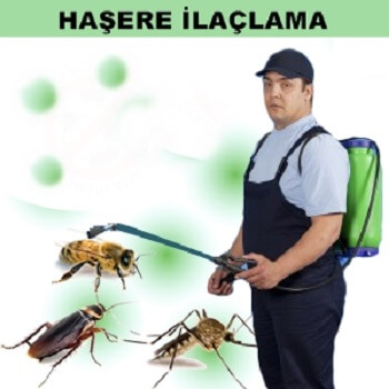 Lapseki Böcek İlaçlama